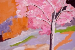 Kirschblüten im Schnee