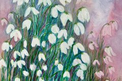 Schneeglöckchen-Snowdrops